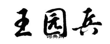 胡问遂王园兵行书个性签名怎么写