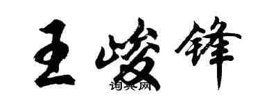 胡问遂王峻锋行书个性签名怎么写