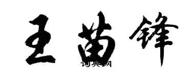胡问遂王苗锋行书个性签名怎么写