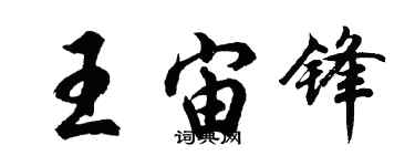 胡问遂王宙锋行书个性签名怎么写