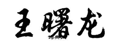 胡问遂王曙龙行书个性签名怎么写