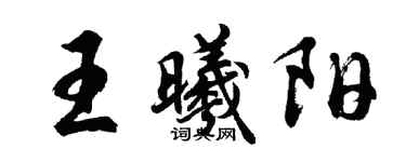 胡问遂王曦阳行书个性签名怎么写