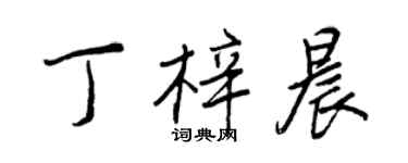 王正良丁梓晨行书个性签名怎么写