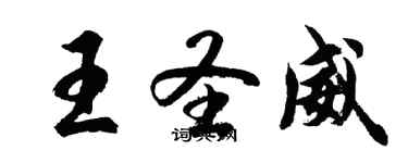 胡问遂王圣威行书个性签名怎么写