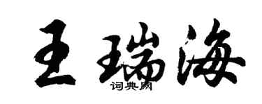 胡问遂王瑞海行书个性签名怎么写