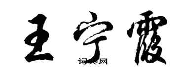 胡问遂王宁霞行书个性签名怎么写