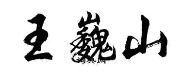 胡问遂王巍山行书个性签名怎么写