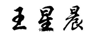 胡问遂王星晨行书个性签名怎么写