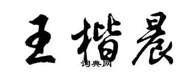 胡问遂王楷晨行书个性签名怎么写