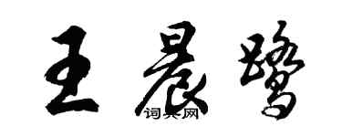 胡问遂王晨鹭行书个性签名怎么写