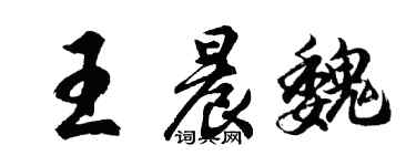 胡问遂王晨魏行书个性签名怎么写