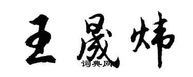 胡问遂王晟炜行书个性签名怎么写
