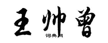 胡问遂王帅曾行书个性签名怎么写