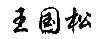 胡问遂王国松行书个性签名怎么写