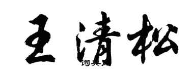 胡问遂王清松行书个性签名怎么写