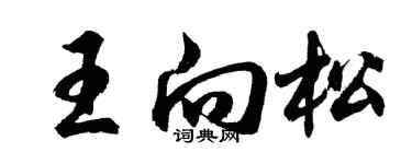 胡问遂王向松行书个性签名怎么写