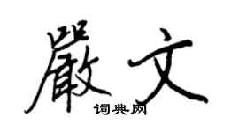 王正良严文行书个性签名怎么写