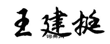 胡问遂王建挺行书个性签名怎么写