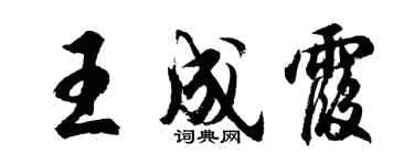 胡问遂王成霞行书个性签名怎么写