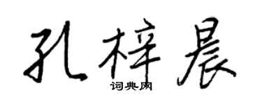 王正良孔梓晨行书个性签名怎么写