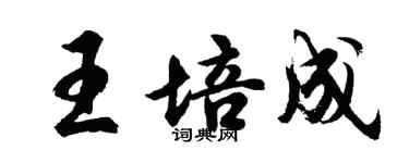 胡问遂王培成行书个性签名怎么写