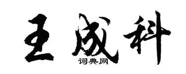 胡问遂王成科行书个性签名怎么写