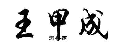 胡问遂王甲成行书个性签名怎么写