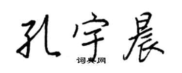 王正良孔宇晨行书个性签名怎么写