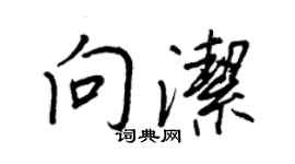 王正良向洁行书个性签名怎么写