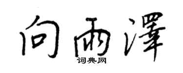 王正良向雨泽行书个性签名怎么写