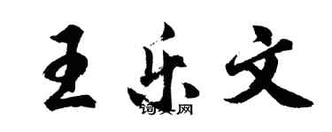 胡问遂王乐文行书个性签名怎么写