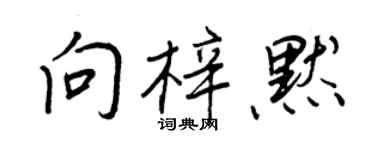 王正良向梓默行书个性签名怎么写