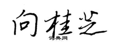 王正良向桂芝行书个性签名怎么写