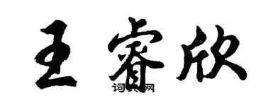 胡问遂王睿欣行书个性签名怎么写
