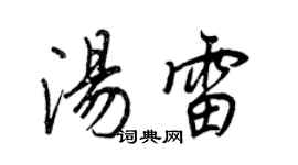王正良汤雷行书个性签名怎么写