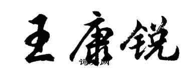 胡问遂王康锐行书个性签名怎么写