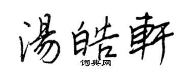 王正良汤皓轩行书个性签名怎么写