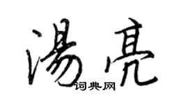 王正良汤亮行书个性签名怎么写