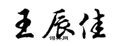 胡问遂王辰佳行书个性签名怎么写