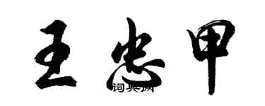 胡问遂王忠甲行书个性签名怎么写