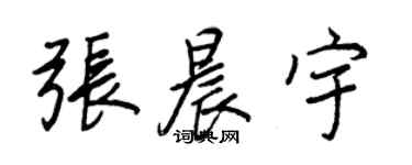 王正良张晨宇行书个性签名怎么写
