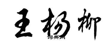 胡问遂王杨柳行书个性签名怎么写