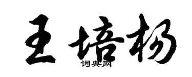 胡问遂王培杨行书个性签名怎么写