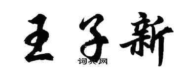 胡问遂王子新行书个性签名怎么写
