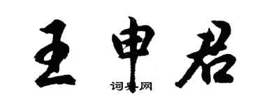 胡问遂王申君行书个性签名怎么写
