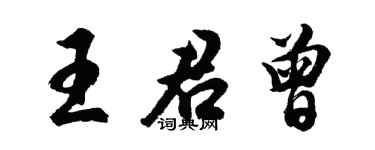 胡问遂王君曾行书个性签名怎么写