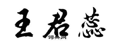胡问遂王君蕊行书个性签名怎么写