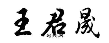 胡问遂王君晟行书个性签名怎么写
