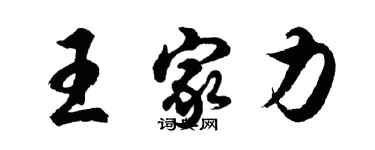 胡问遂王家力行书个性签名怎么写