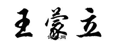 胡问遂王蒙立行书个性签名怎么写